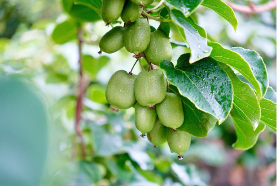 1757498016070.png 图片1.png